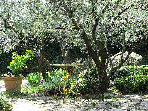 Le jardin provençaux de Pierre Bergé (par Michel Semini)