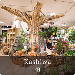 インナチュラル柏店