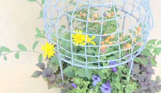 レイクタウン店限定『秋花材で作る鳥かごの寄せ植え』